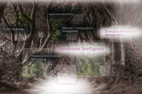 Website IT/Security "go-digital" gefördert